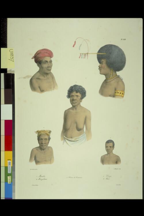 [Portraits of five Papuans] [picture] / de Sainson pinx.; A. Maurin lith