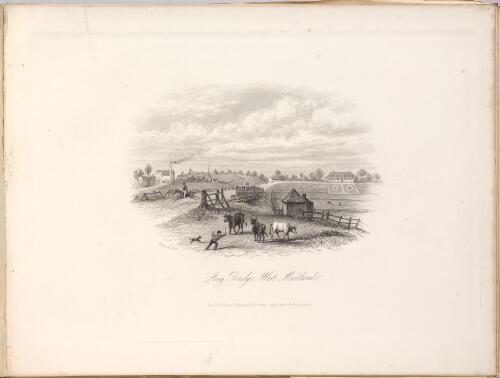 Long Bridge, West Maitland [picture] / Fleury del. 1853