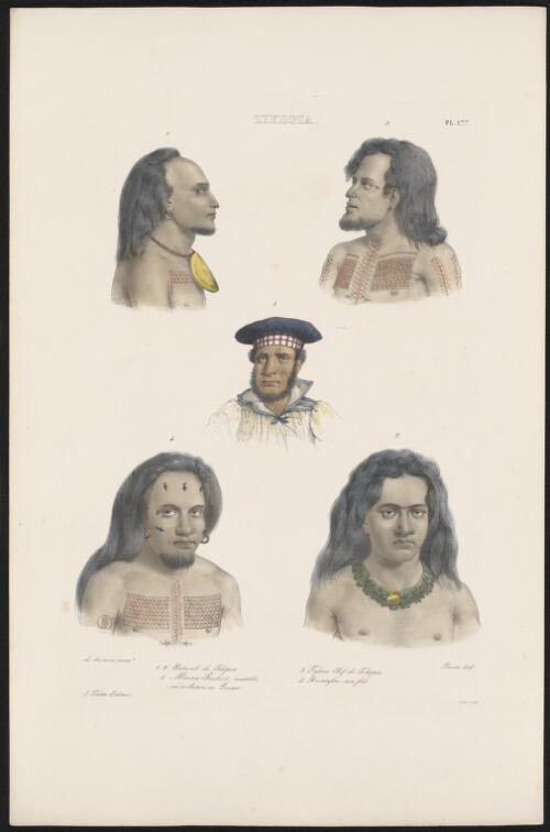 [Portraits of four inhabitants of Tikopia, and of Martin Bushart, the associate of Peter Dillon] [picture] / de Sainson pinxt.; Llanta lith