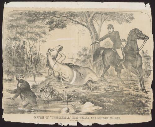Capture of Thunderbolt, near Uralla, by Constable Walker [picture]