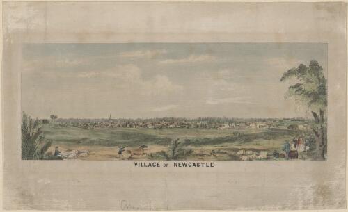Village of Newcastle [picture]