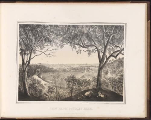 View from Studley Park, 1864 [picture]