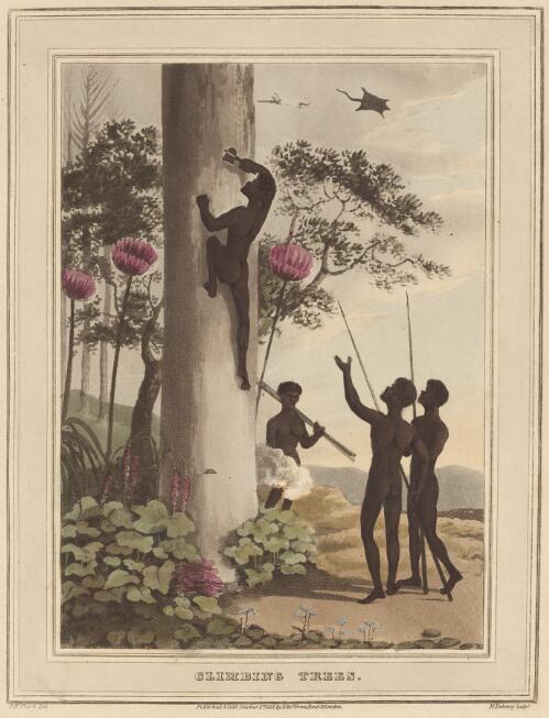 Climbing trees [picture] / J.H. Clark del.; M. Dubourg sculpt