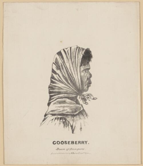 Gooseberry, Queen of Bungaree [picture]