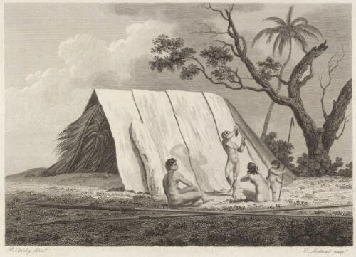 View of a hut in New South Wales [picture] / R. Cleveley delint.; T. Medland sculpt