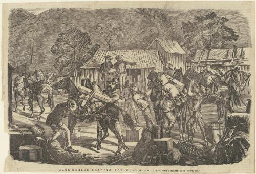 Pack-horses loading for Woods Point [picture] / from a sketch by M Scott, Esq