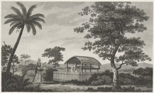 A view in the island of Otaheite [picture] / W. Woollett sculp