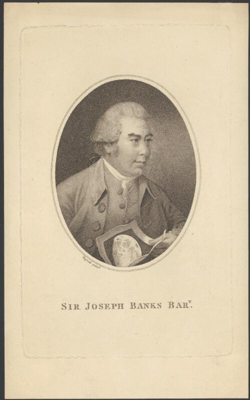Sir Joseph Banks, Bart., president of the Royal Society [picture] / painted by J. Russell; engraved by J. Collyer