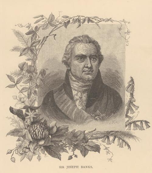 Sir Joseph Banks [picture] / W.M.L