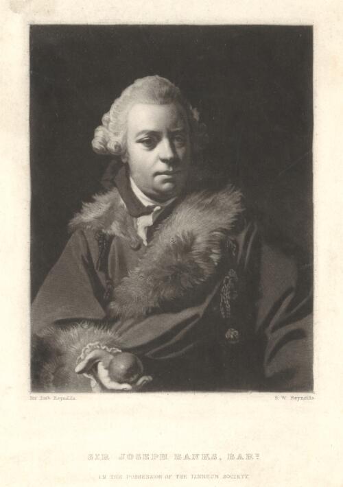 Sir Joseph Banks, Bart. [picture] / Sir Josh. Reynolds; S.W. Reynolds