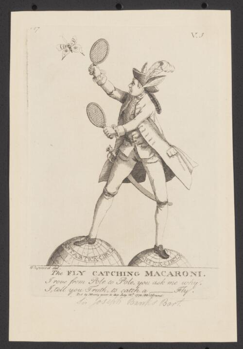 The fly catching Macaroni [picture] / Whipcord del