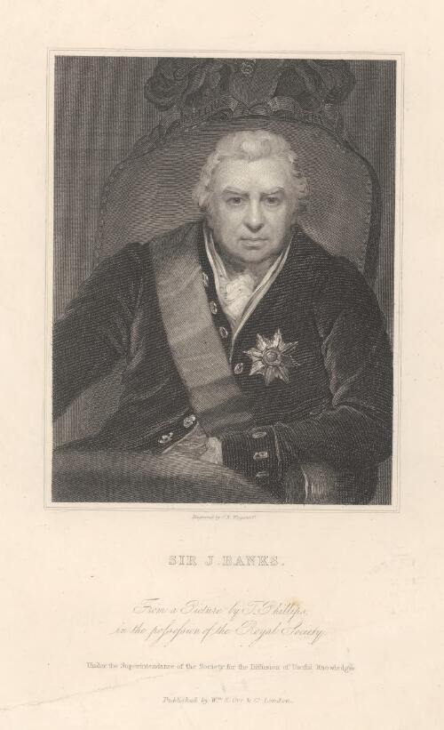 Sir J. Banks [picture] / engraved by Wagstaff from a picture by Phillips in possession of the Royal Society