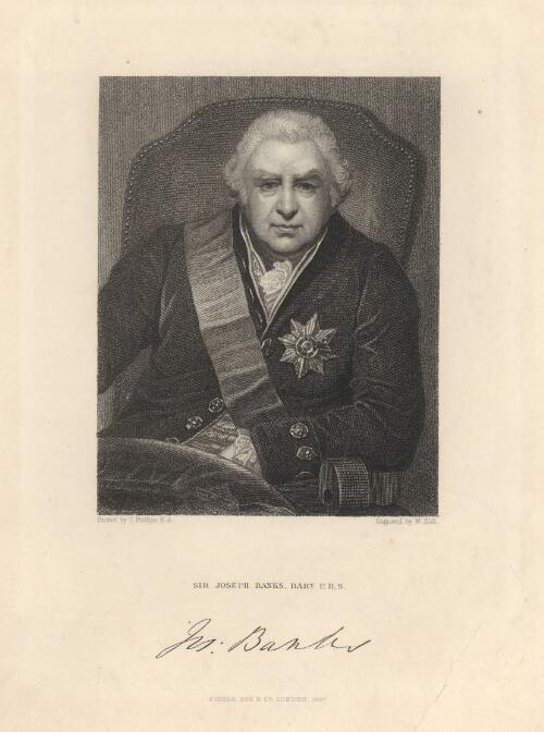 Sir Joseph Banks, Bart., P.R.S. [picture] / painted by T. Phillips; engraved by W. Holl