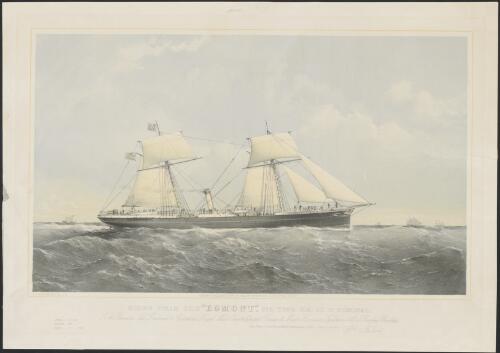 Screw steam ship Egmont, 516 tons O.M. 80 H.P. nominal [picture] / T.G. Dutton delt. et lith