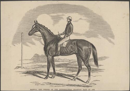 Barwon, the winner of the Intercolonial Champion Race of 1863 [picture] / F.W