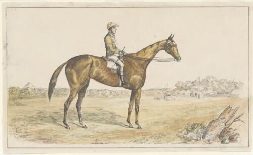 Zoe, winner of Queensland Champion Race, May 29th 1861 [picture] / drawn from life on stone by W.F. Emery