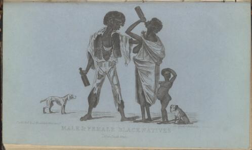 Male & female black natives, New South Wales [picture] / designed & etched by J. Carmichael