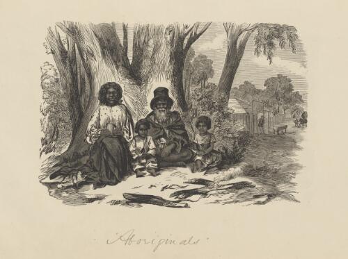 Aboriginals [picture] / Calvert