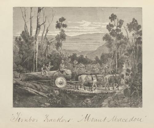 Timber trackers, Mount Macedon [picture] / E.W.E. ; S.C