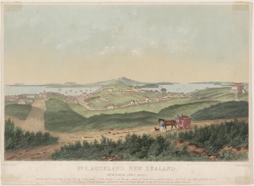 Auckland, New Zealand, from Hobson Street south [picture] / drawn by P. J. Hogan; Standidge & Co. lith