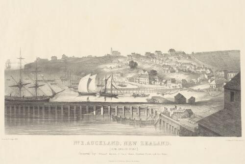 Auckland, New Zealand, from Smales' Point [picture] / drawn by P.J. Hogan; Standidge & Co. litho