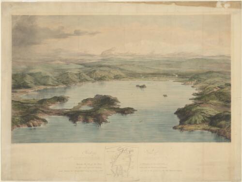 Birdseye view of Port Nicholson, in New Zealand, 1840 [picture] / drawn and lithographed by T. Allom