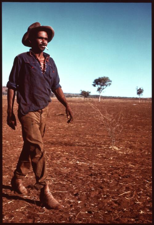 Aboriginal stockman, Central Australia [picture] / Axel Poignant