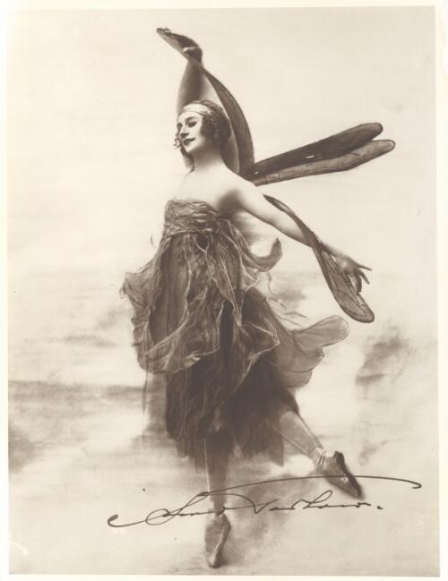 Portrait of Anna Pavlova in the Dragon fly [picture]