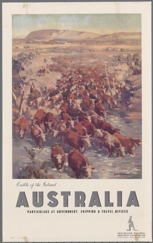Cattle of the inland Australia [picture] / James Northfield