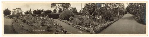 The garden at 'Clifton', Hamilton Victoria / [picture] H.G. McBurney