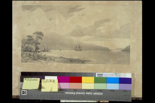 Fond de la Baie de Sarah's Bosom, Iles Auckland [picture] / dessine par Le Breton ; lithe.  par J. Guiaud
