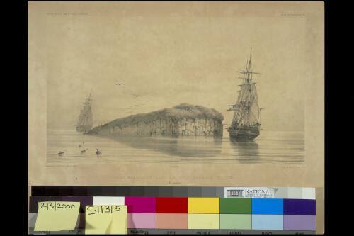 Ilot basattique dans la Baie Sarah's Bosom, Iles Auckland [picture] / dessine par L. Le Breton ; lithe.  par  Meyer [sic.]