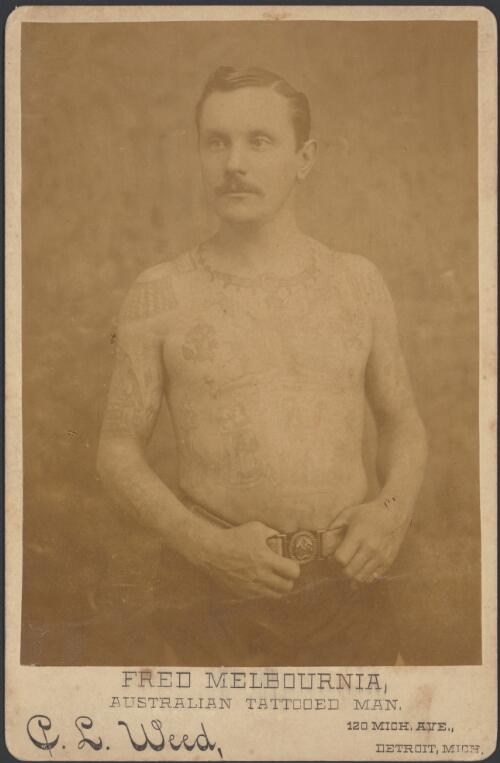 Fred Melbournia, Australian tattooed man [picture] / C. L. Weed