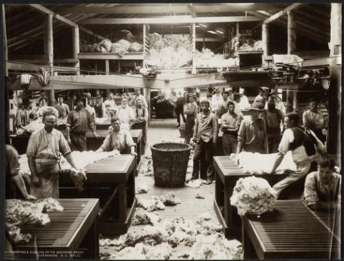 Woolsorting & classing at the shearing sheds, Burrawong, N.S.Wales [picture] / [Charles Kerry]