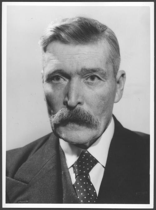 Portrait of Senator F. Ward [picture]