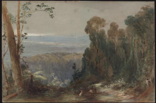 View overlooking Richmond, New South Wales [ca. 1853] [picture] / C. Martens
