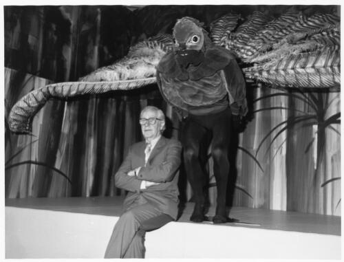 Sir Sidney Nolan beneath one of his lyrebird costumes designed for The Australian Ballet, 1987 [picture] / John McKinnon