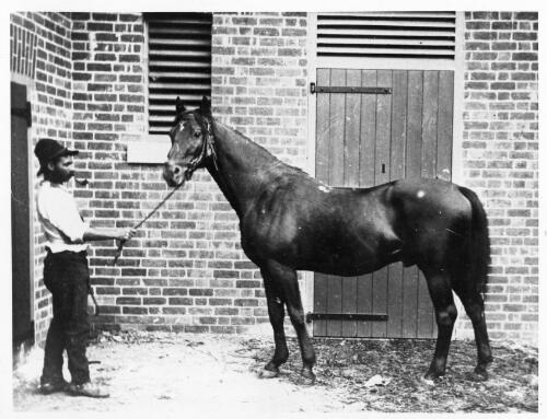 Unidentified horse and handler standing outside a brick stable [picture] / H.B. Ballard