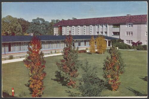 University House courtyard, in autumn [Australian National University, Canberra, Australian Capital Territory], 1959 [picture]