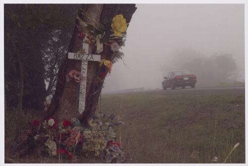 [A memorial shrine for 'Bazza', fastened to a tree, on the side of a road] [picture] / Tony Reddrop