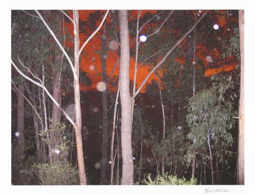 Ash falling like rain illuminated by flash with red glow behind, [Kings Highway, 2003 Canberra bushfires] [picture] / Bob Miller