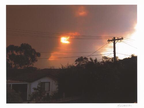 View west from rear of house, [Melba, 2003 Canberra bushfires] [picture] / Bob Miller