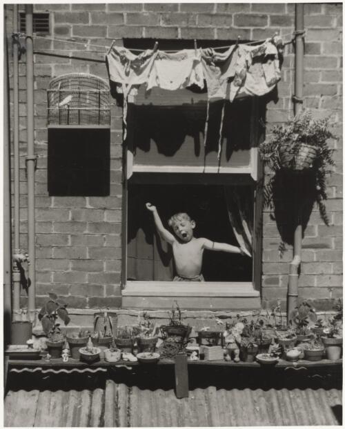 A youngster at his home in Paddington, enjoys the early morning spring sun, November 1955 [picture] / Ern McQuillan