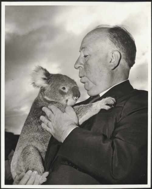 Alfred Hitchcock with a koala bear at the Sydney Zoo during one of his many his visits to Australia to promote one of his classical movies, 1960. [picture] / Ern McQuillan