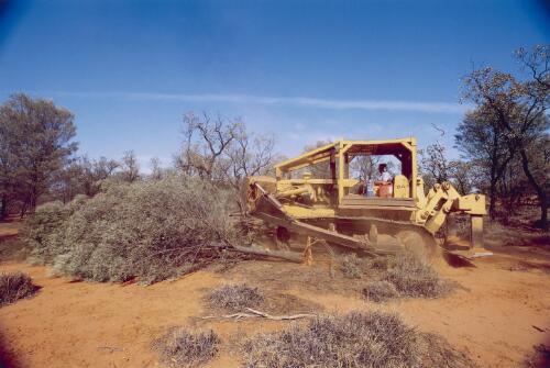Clearing mulga, Enngonia, New South Wales, 2002 [picture] / Darren Clark