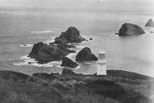 Maatsuyker Island Lighthouse, the landfall of vessels proceeding from Capetown and other South African ports to Hobart [picture]