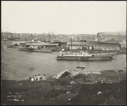 A.S.N. Co's works, Pyrmont, N.S.W., April 1871 [picture]
