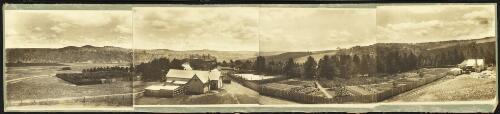 [Panorama of Burnima Station, near Bombala, New South Wales, early 1900s] [picture] / [Charles Kerry]