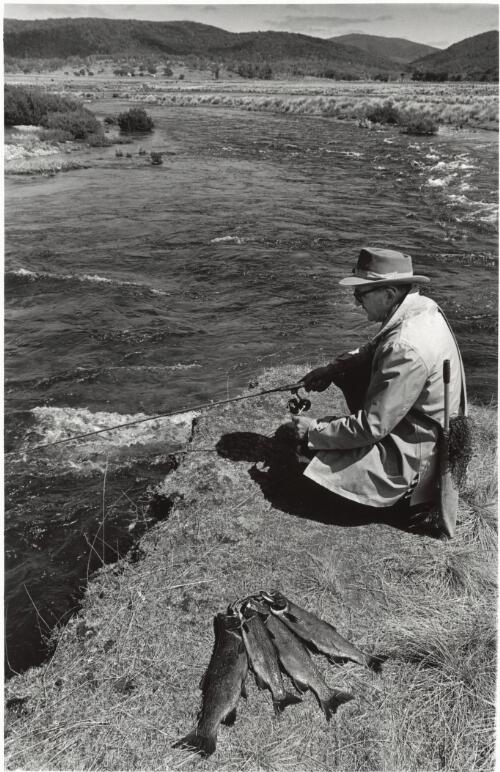 Trout fishing on an estuary of Lake Eucumbene in Snowy Mountains, in late 1960's [picture] / Jeff Carter