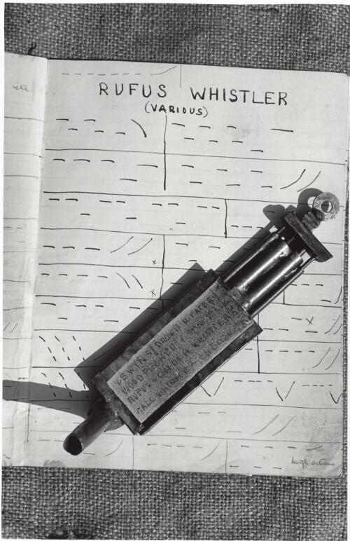 [Henry Grace's notation of the call of a Rufus Whistler and the whistle he made to imitate it] [picture] / Jeff Carter